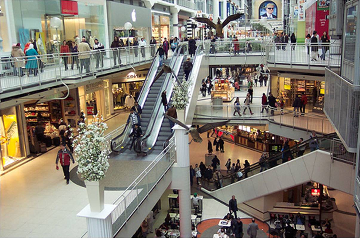 shopping1_1357675351.08.jpg